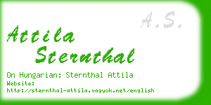 attila sternthal business card